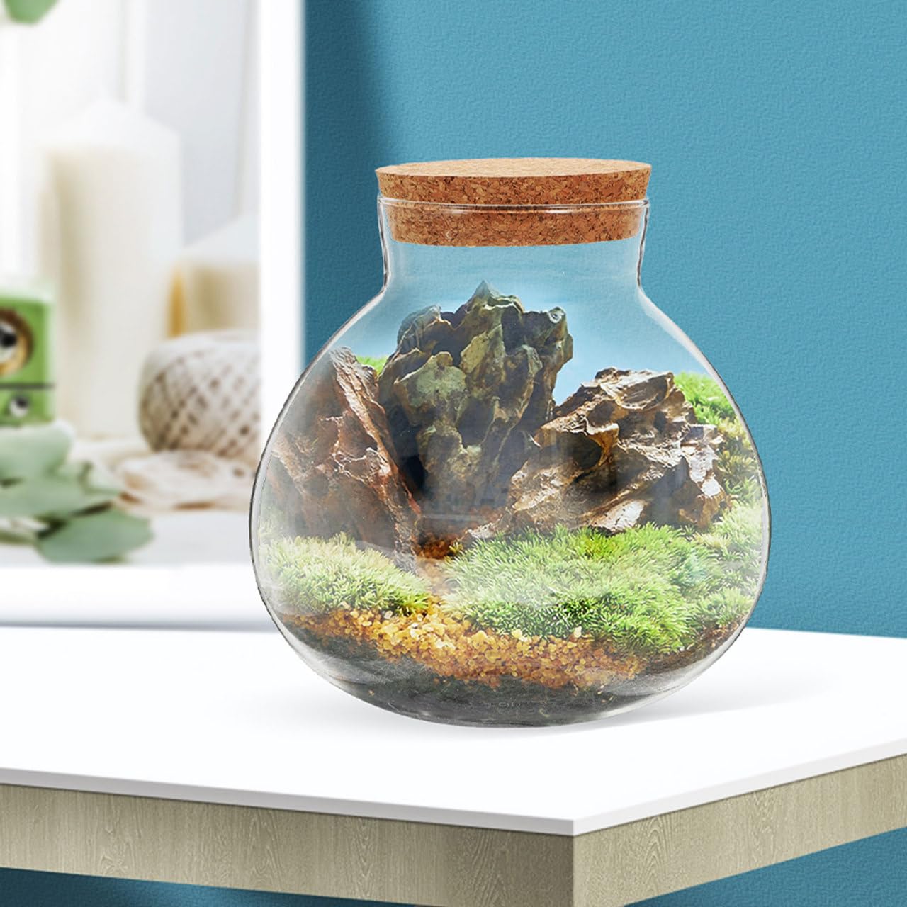 VICASKY Luftdichte Runde Glas Terrariumflasche mit Korken 13cm Mikrolandschaftsgefäß für Moos Sukkulenten und Hydroponik Dekoratives Pflanzglas für Schreibtisch und Fensterbank