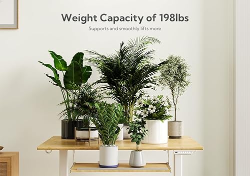 Miniatura 6 de Escritorio eléctrico de bambú de pie, escritorio ajustable de 55 x 24 pulgadas con bandeja para teclado, escritorio de oficina en casa con tablero