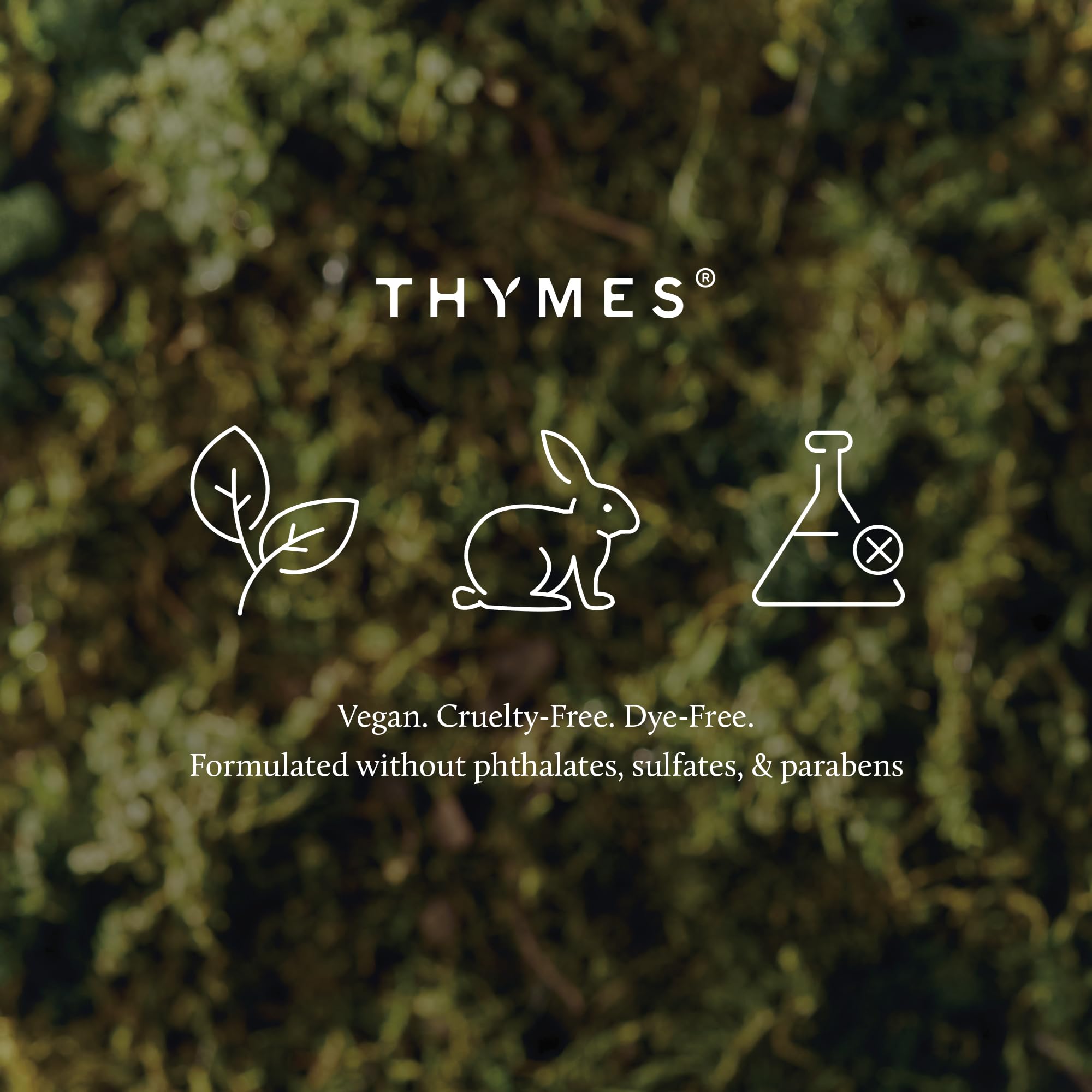 Thymes Citronella Grove Poured Candle Tin, złota pokrywka (185 g)