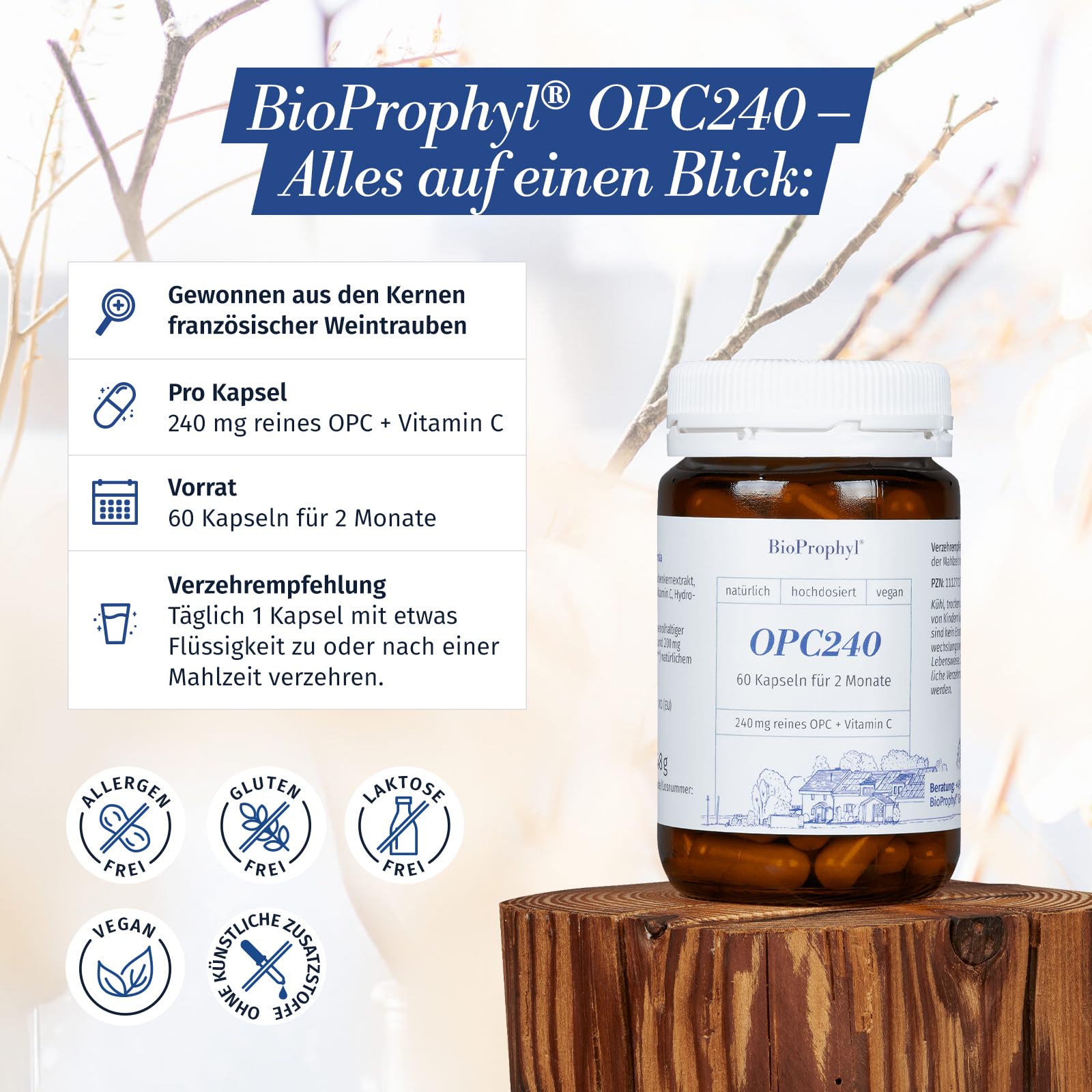 OPC240 - Das Original - 240mg reines OPC aus 600mg Traubenkernextrakt aus französ. Trauben mit Vitamin C aus Acerolakirsche - hochdosiert, zertifiziert - 60 pflanzl. Kapseln für 2 Monate