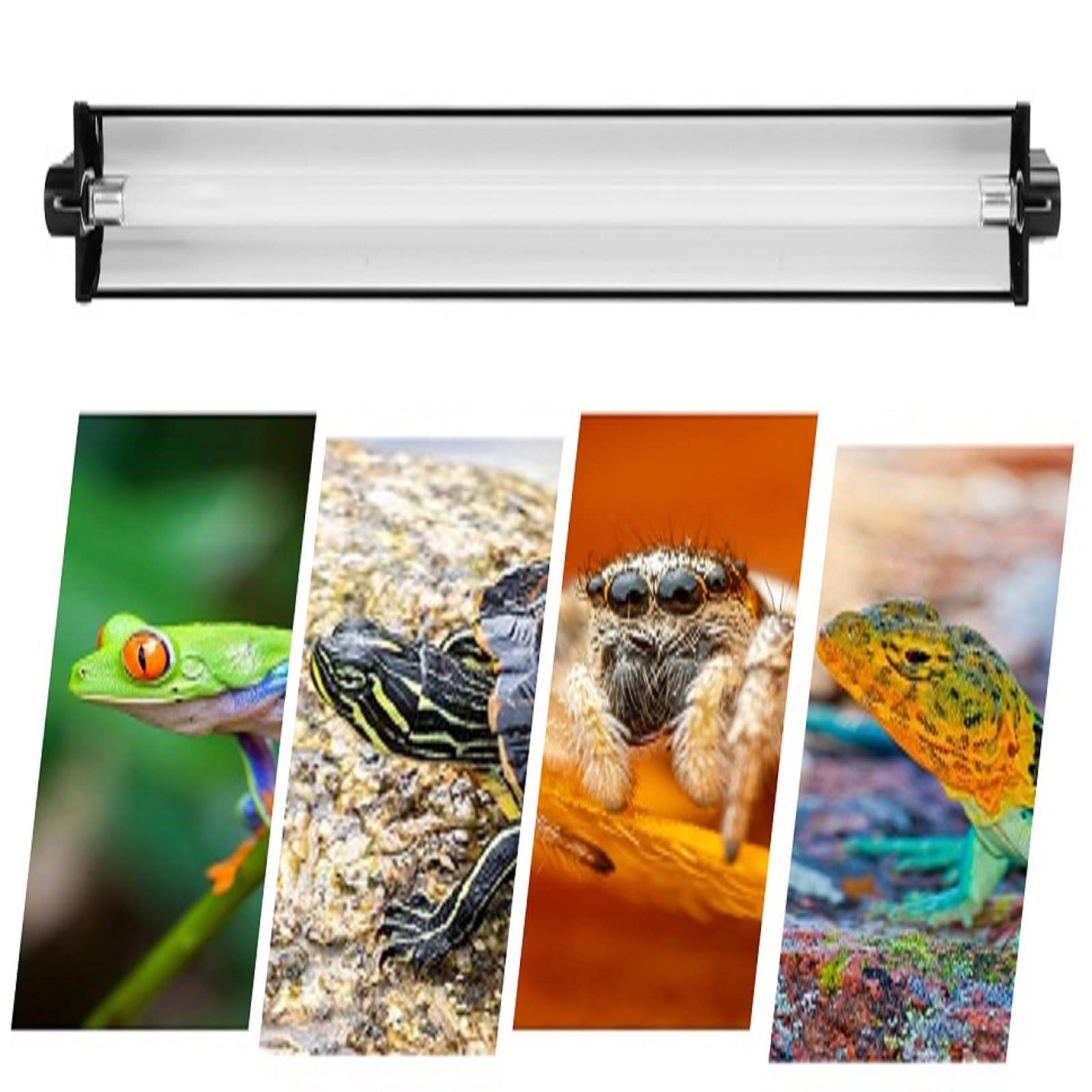 AIICIOO T5 HO UVB Beleuchtung Combo Kit Terrarium Haube mit Wüste 5.0 8W UVB T5 Lampe Leuchte Reptilien