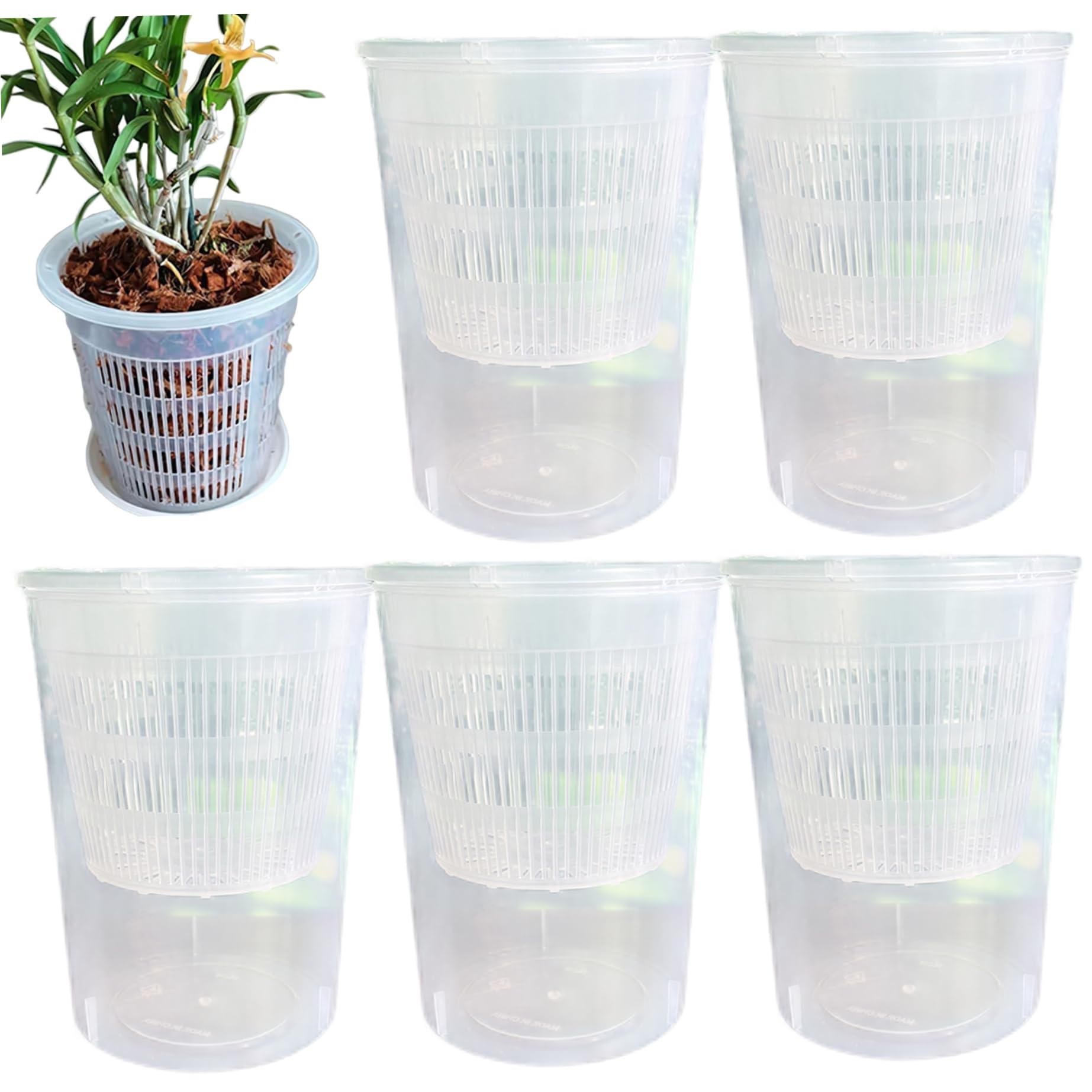 Pot de fleur transparent pour orchidées, idéal pour sublimer votre salon avec Phalaenopsis