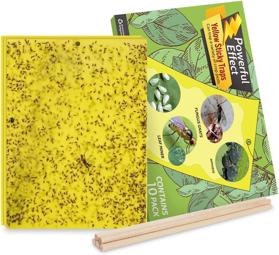 Kensizer 10-Pack Fruit Fly Trap, Yellow Sticky Gnat Trap Killer for Indoor/Outdoor Flying Plant Insect Like Fungus Gnat, Whiteflies, Aphids, Leaf Miners - 6x8 in, Twist Ties Included