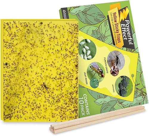 Kensizer Pack de 10 trampas para moscas de la fruta, trampa pegajosa amarilla para matar mosquitos para interiores y exteriores, planta de insectos
