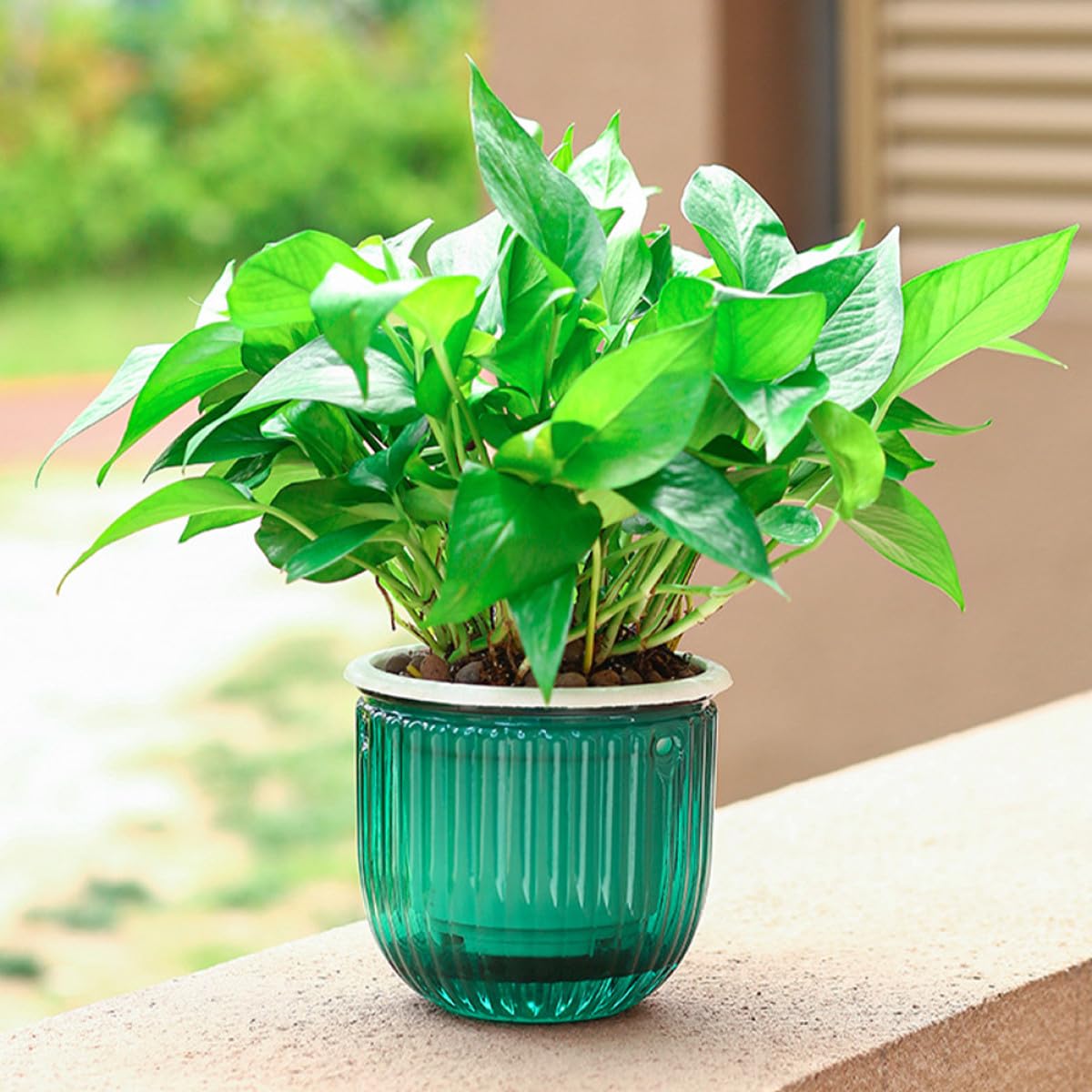 Uonlytech Fioriera Sospesa da Balcone 3 Pezzi in Plastico Verde | Autoirrigante, Resistente Gelo e Sole Intenso, Anti-sfaldamento, per Casa e Giardino