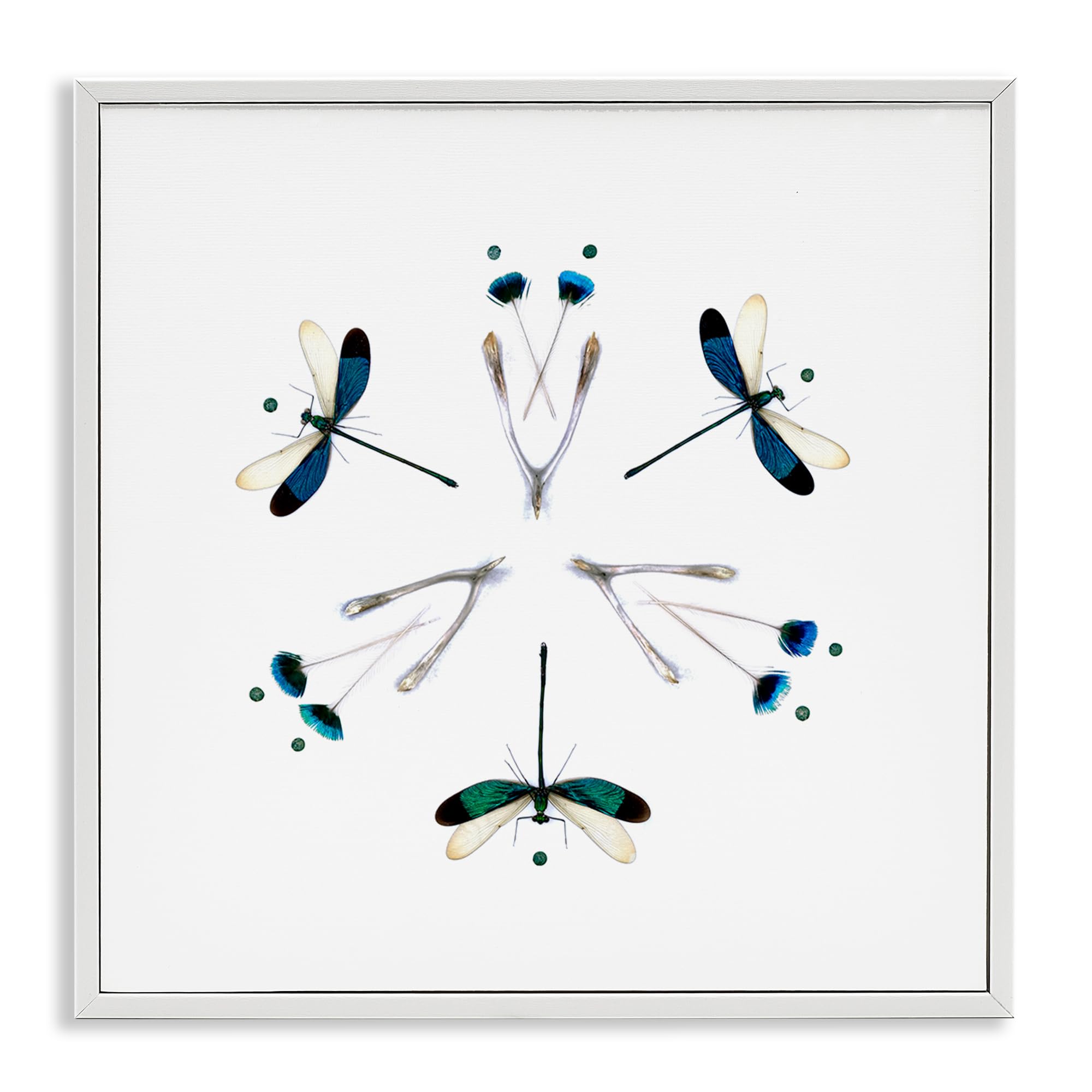 Stupell Industries Symmetric Dragonfly Mandala Wings 'Simple Dragonfly Symmetry', Framed Giclee Art, White, 24 X 24 Inches, Easy To Hang And Sturdy, Made In Usa, By Beth Adoette