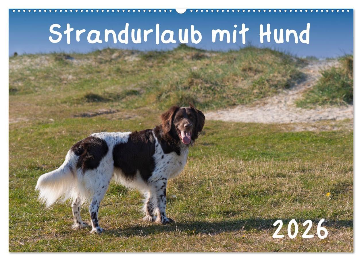 Strandurlaub mit Hund (Wandkalender 2026 DIN A2 quer), CALVENDO Monatskalender: Eine bunte Mischung vierbeiniger Standurlauber an der Nordsee (CALVENDO Tiere)