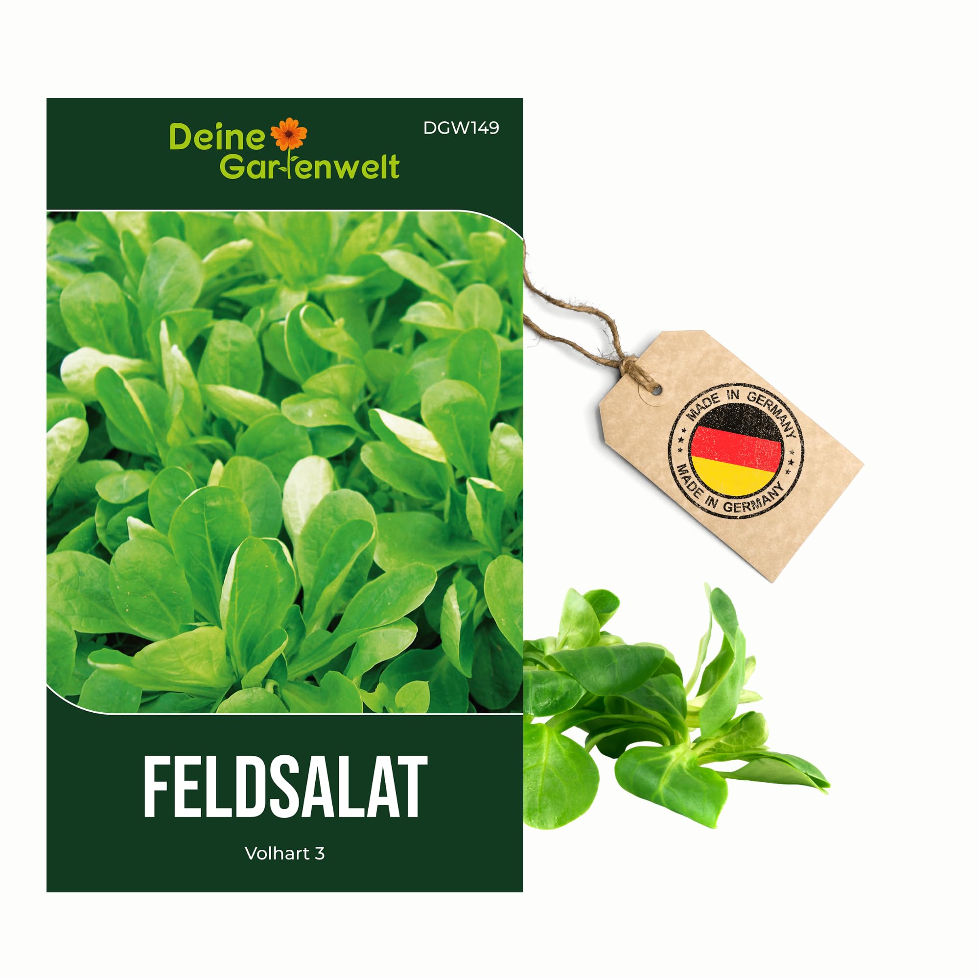 Feldsalat Volhart 3 Samen - Valerianella locusta - Salatsamen - Gemüsesamen – Saatgut je Tüte für 300 Pflanzen – 3er Pack
