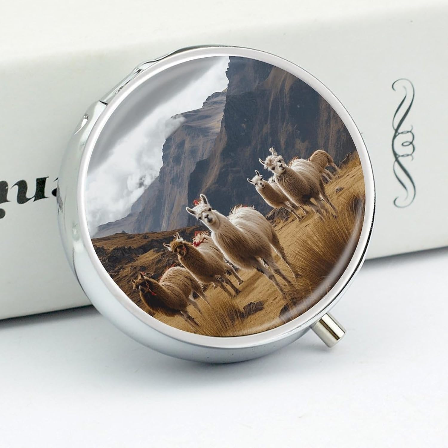 Round Silver Pill Box Small Pill Case for Purse and Pocket 3 Compartment image 4