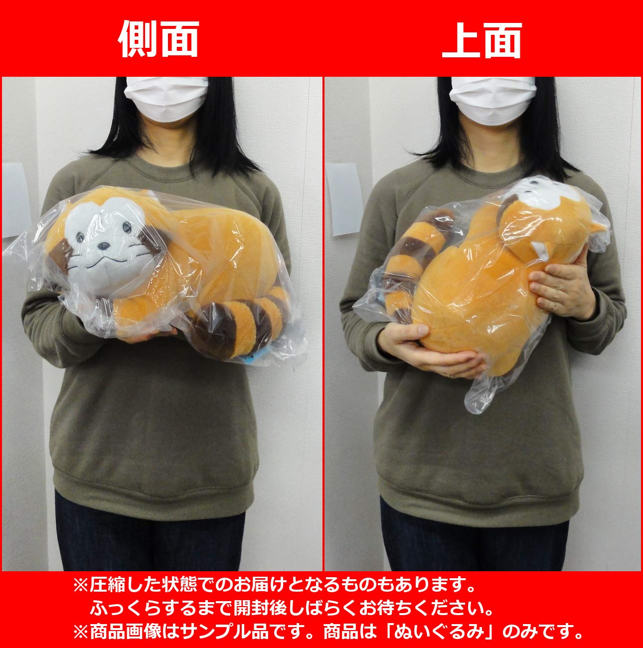 Amazon.co.jp: 世界名作劇場 あらいぐまラスカル ごろりんBIG 
