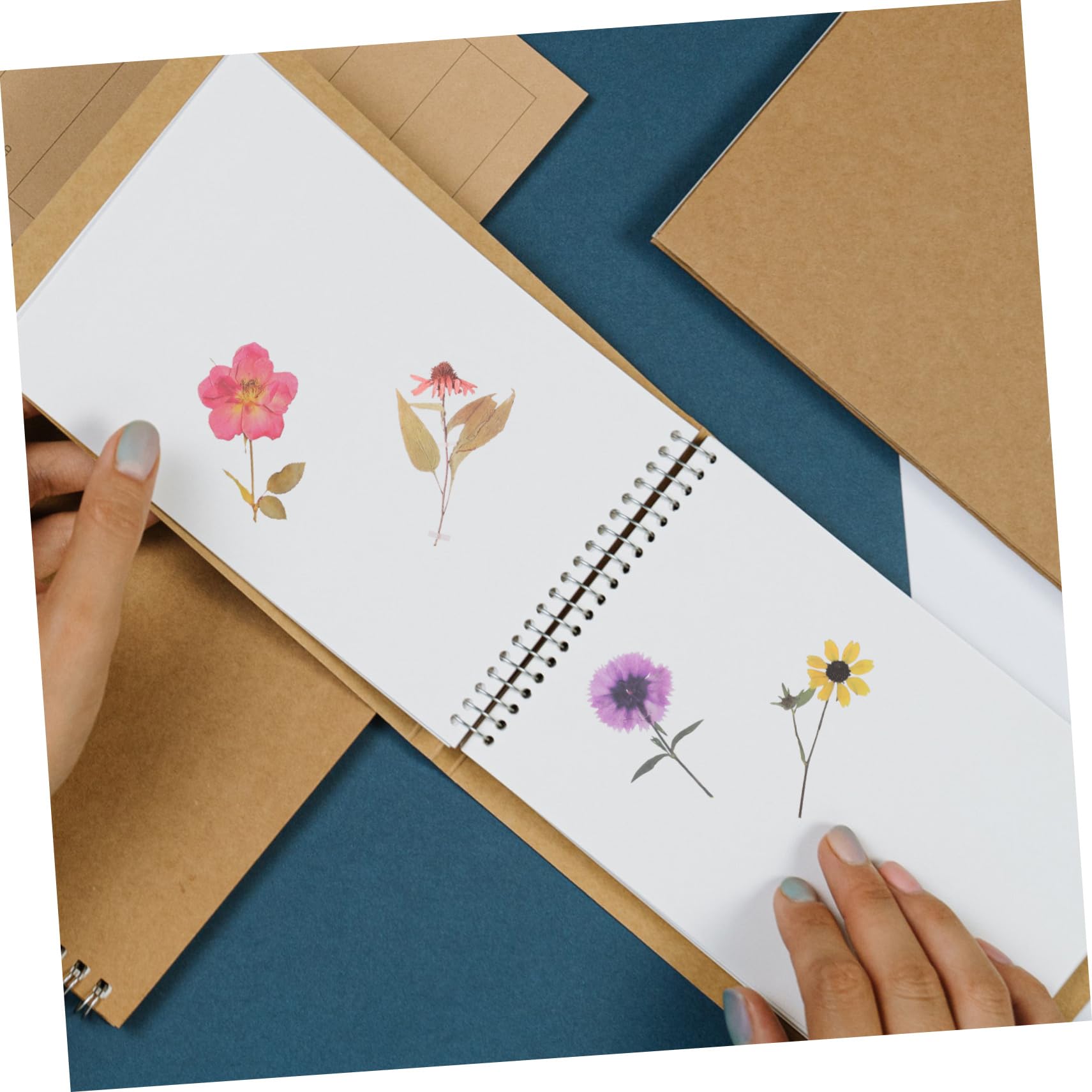 HOMSFOU 3 Sätze Pack Dekorative Aufkleber Simulierte Blumenaufkleber Für Scrapbooking Ästhetische Sticker Für Journalgestaltung Vielseitig Einsetzbar Für Kalender Und Diy 6 Packungen * 3