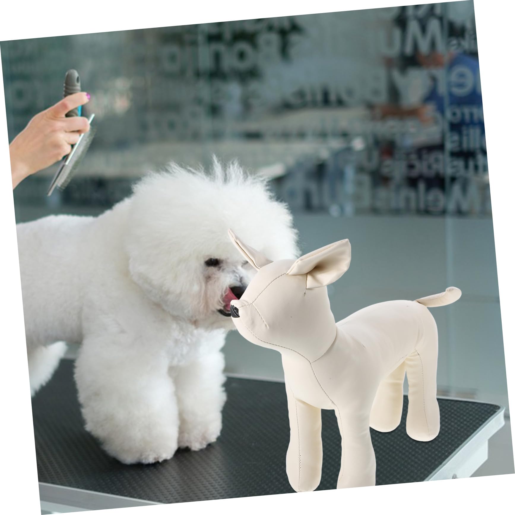 MAGICLULU Sitzende Hunde in Größe S Schaufensterpuppe aus Weißem Leder zur Präsentation von Hundebekleidung und Hundezubehör im Tiergeschäft
