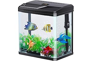 Ensnare Adventure with Our 4 Gallon Fish Tank Sanctuary for Your Aquatic Friends