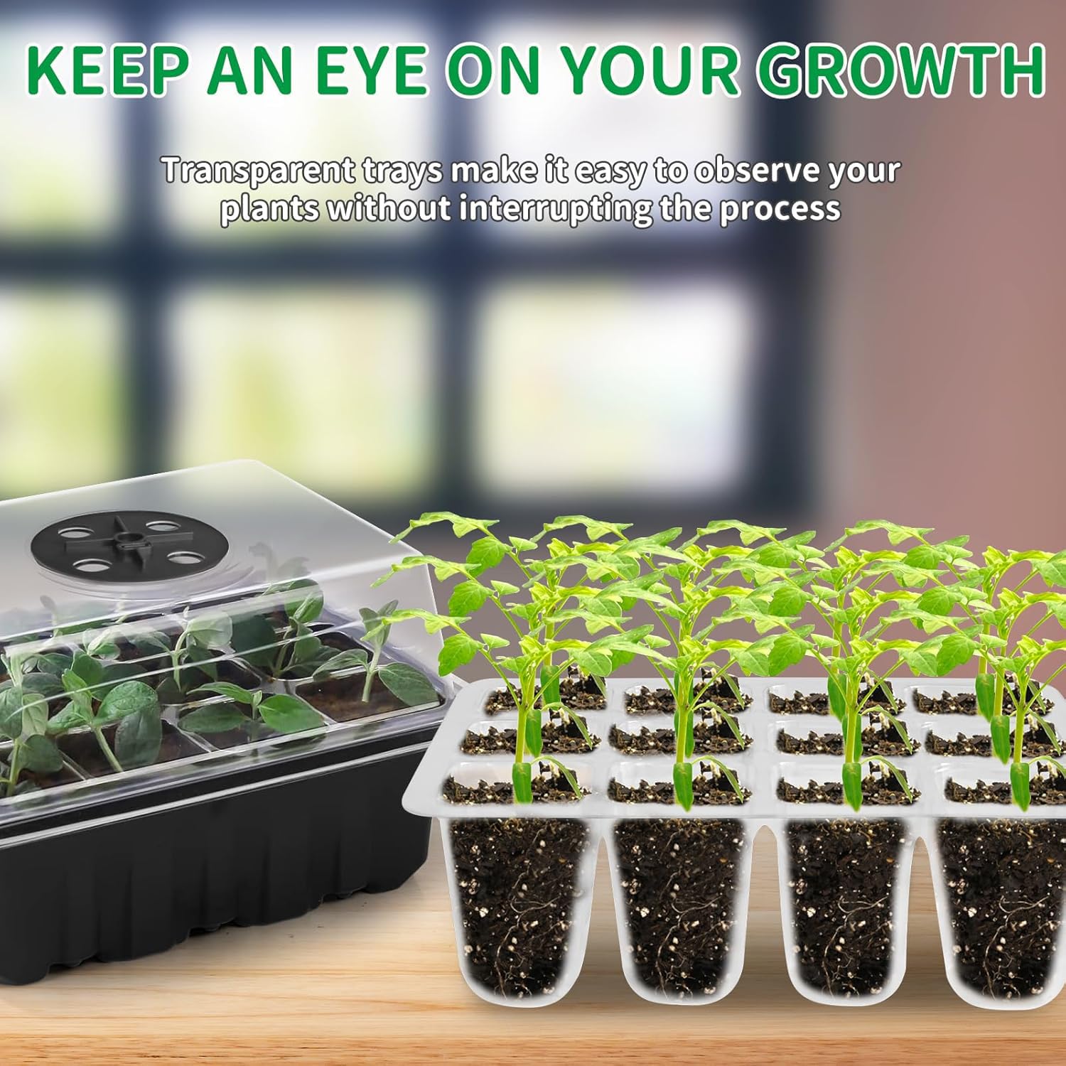 Vassoi per semi con luce crescente, mini kit di propagatore per serra per giardinaggio indoor, celle di germinazione delle piante riutilizzabili, sistema di propagazione riscaldato, confezione da 6
