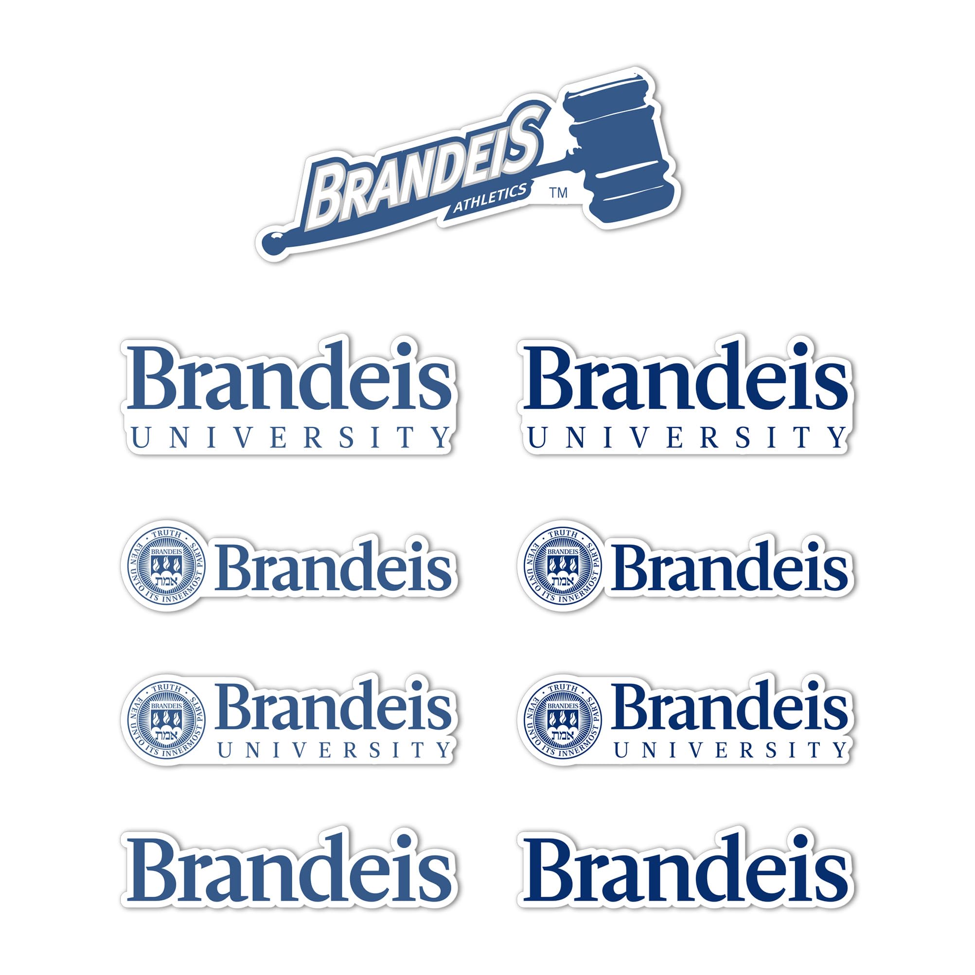 Autocollant Brandeis University NCAA en vinyle haute résistance premium