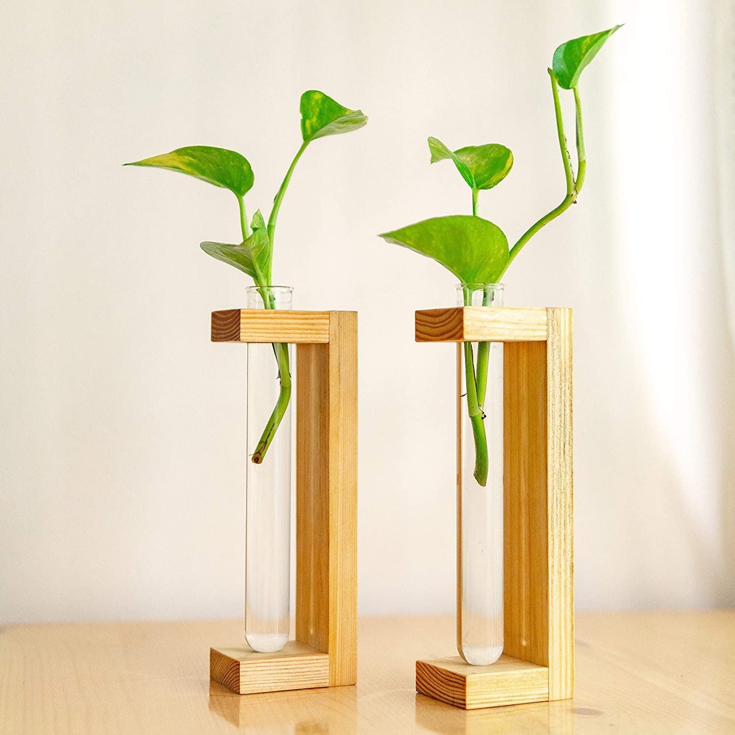 Decorous Shoppee- Lets Decor Wooden Tabletop Planter Holder/Test Tube Planter Vine Holder Stand for LivingRoom/Bedroom/Balcony/Kitchen Planter Stand with Pine Wood (Test Tube Height 6 Inch) (B0BR2KPWVL) Amazon Price History, Amazon Price Tracker