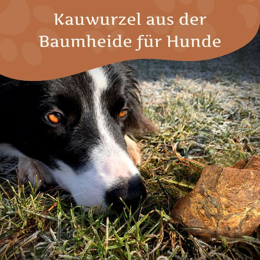 Wildfang koreň na žuvanie v rôznych veľkostiach