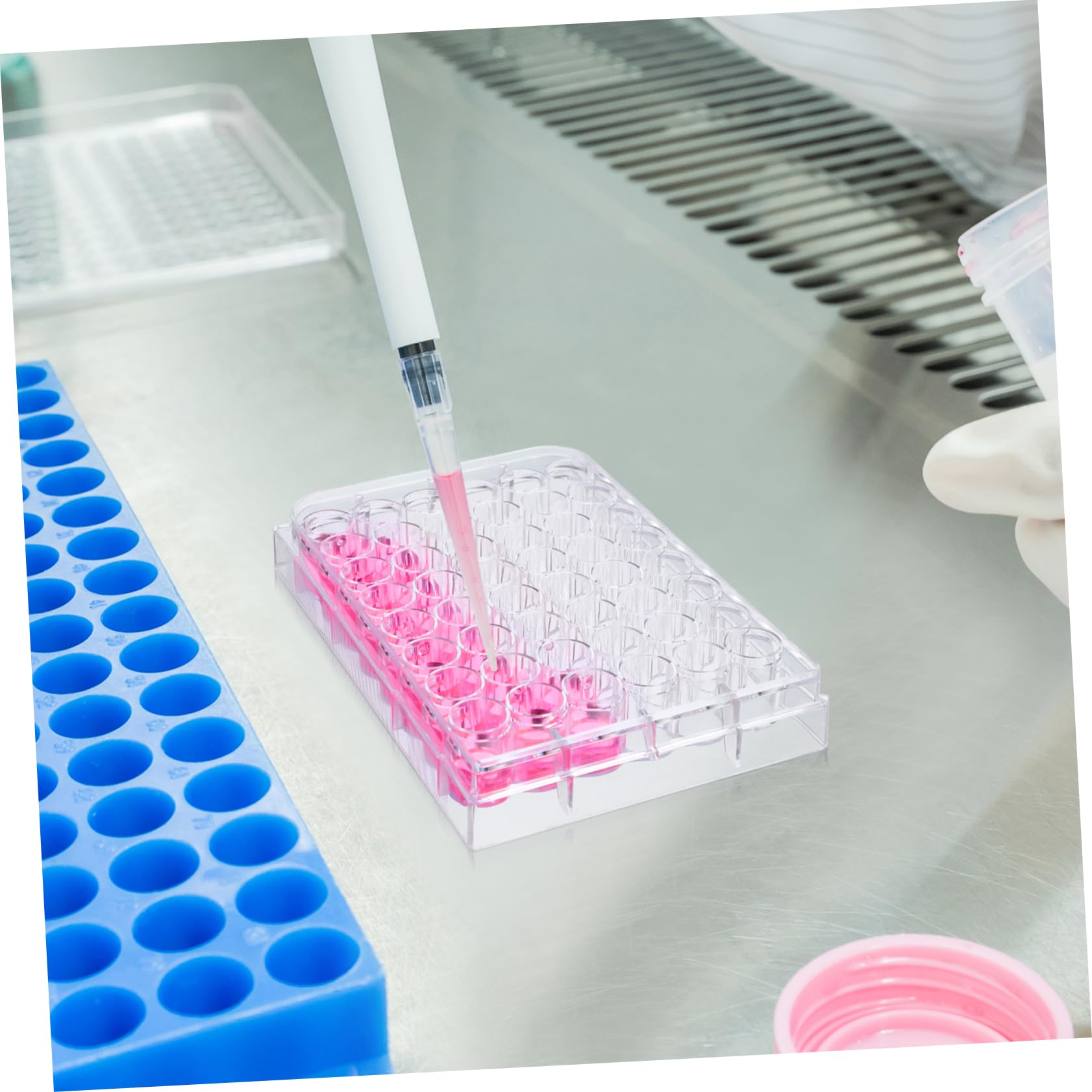 SOLUSTRE 10pezzi Piastra Di Coltura Cellulare Trasparente Da Pozzetti Strumento Per Esperimenti Di Laboratorio Realizzata Vergine Resistente e Stabile Per Applicazioni Di Coltura Cellulare