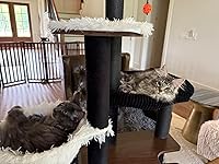 Review Image by Calamity_Cat Calamity_Cat