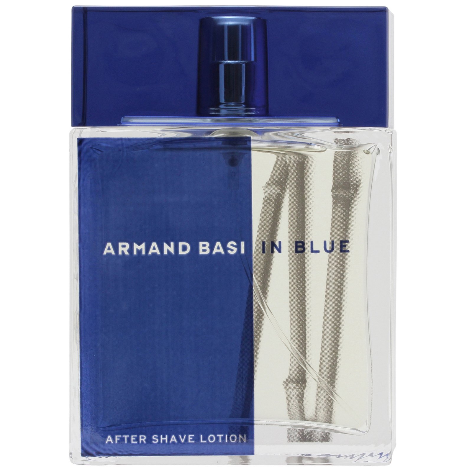 Armand Basi en Blue Aftershave Spray 100 ml