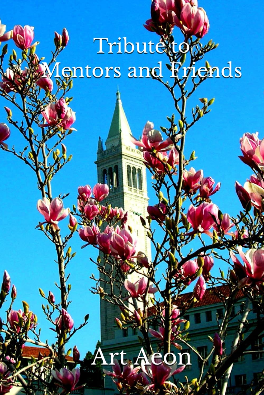 Tribute to Mentors and Friends