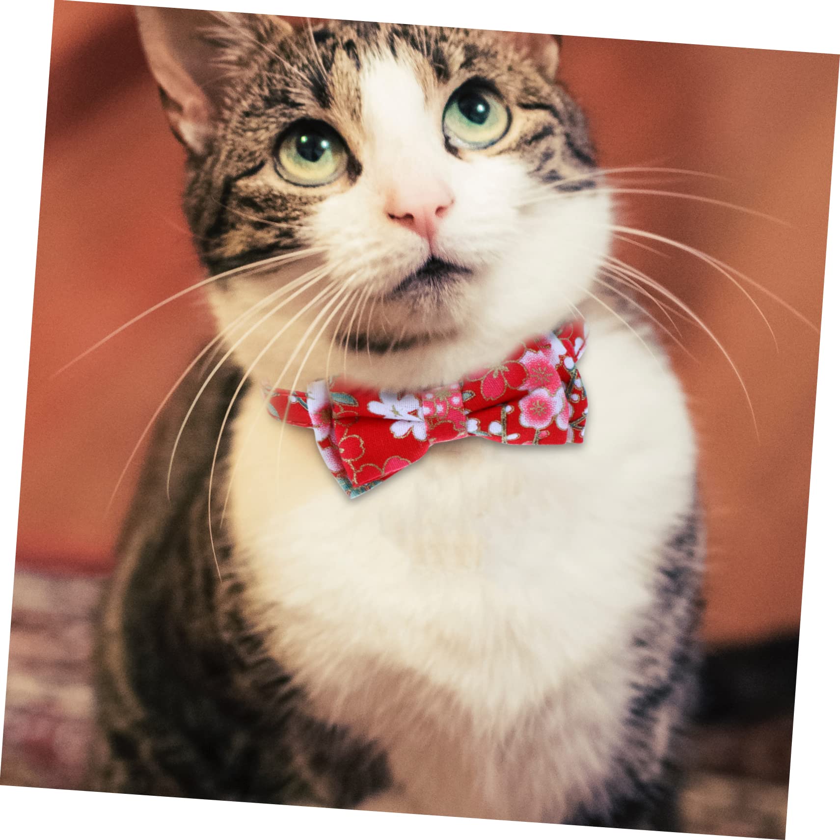 BESPORTBLE 9stücke Verstellbarer Katzenhalsband Mit Glöckchen Und Schleife Blumenmuster Farben Für Haustiere Für Süße Katzen Und Kätzchen