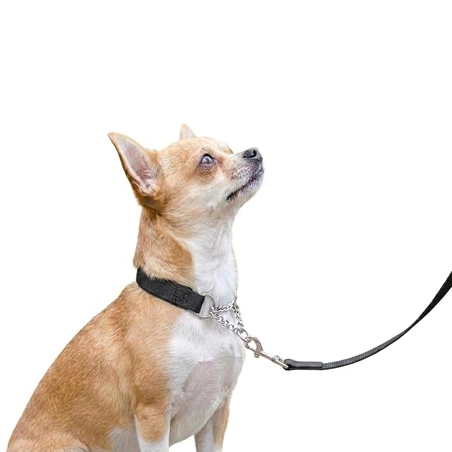 Foto 6 de 6 de Ferplast Collar de Adiestramiento para Perros, Acolchado, Antitracción