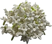 50 Pack Handmade White Thai Clay Arabian Jasmine Flowers for Lei, Wedding Hair Accessories, Floral Crowns & DIY Crafts