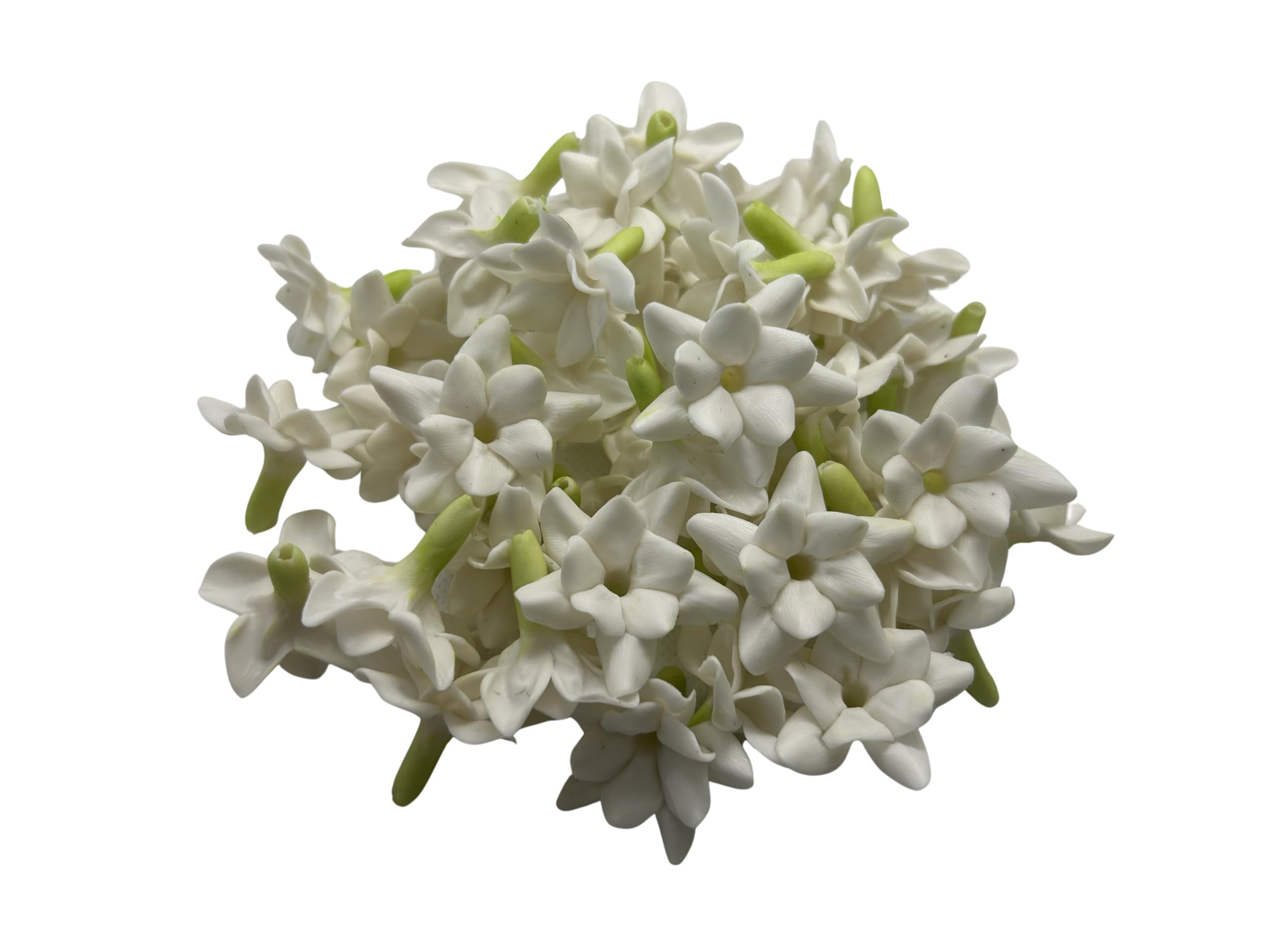 Amazon.com: 50 PCS White Clay Arabian Jasmine Crown Flowers  display picture 3