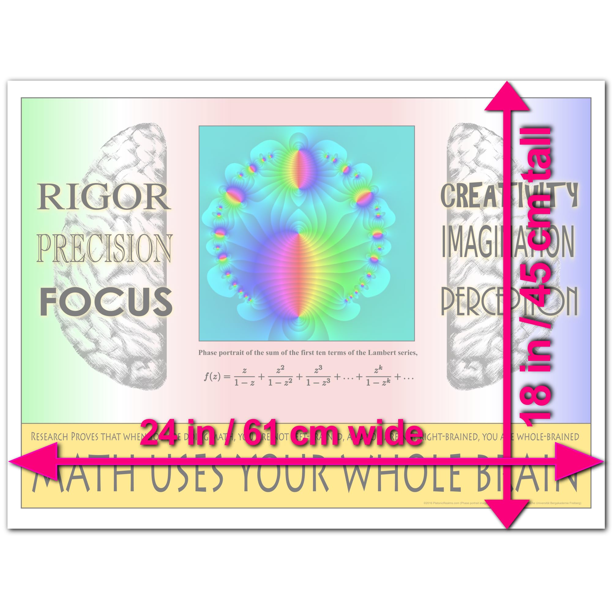 Platonic Realms Math Uses Your Whole Brain Classroom Math Poster, Professional Educational Wall Art for Middle School, High School, College, Dormitory