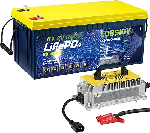 LOSSIGY Batería Bluetooth LiFePO4 de 48 V 100 Ah con cargador de batería de litio de 58.4 V10A, arranque de 0 V y carga rápida, perfecta para motor