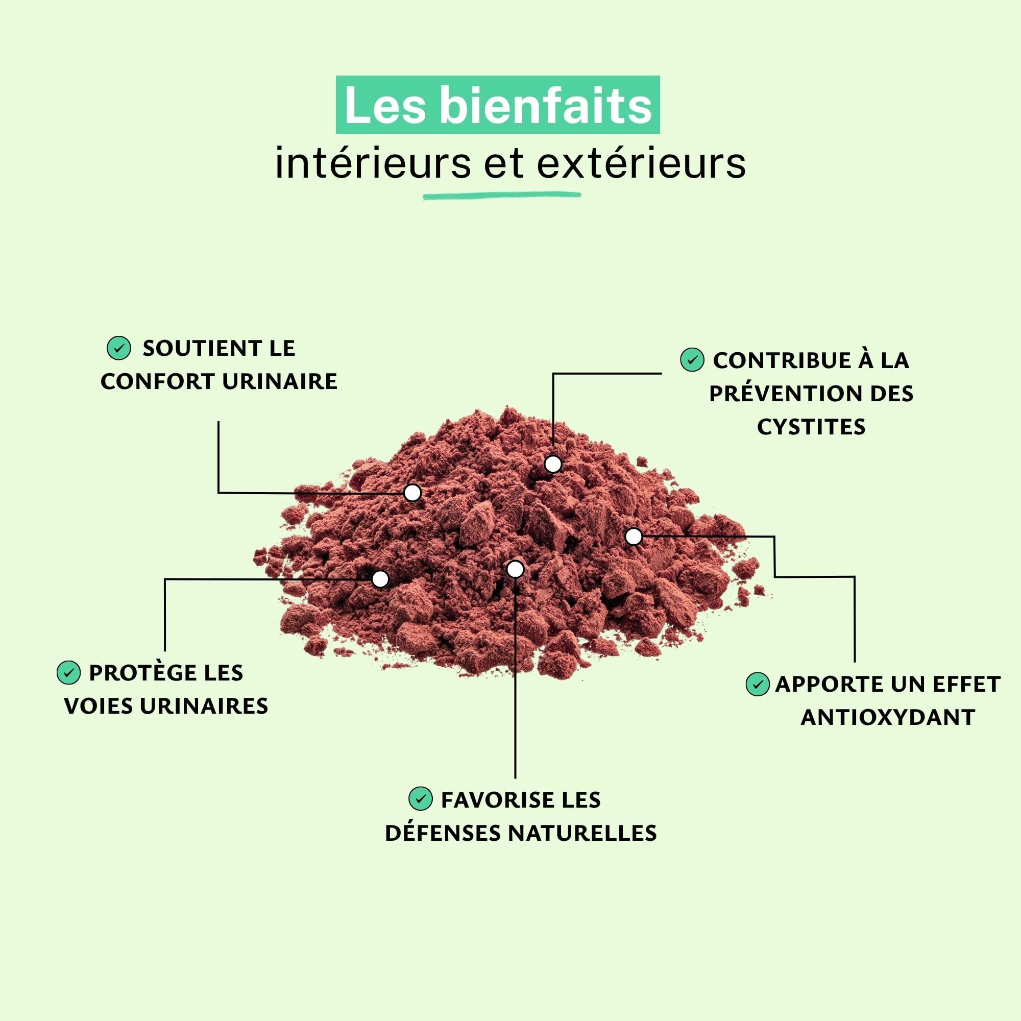 Canneberge Extrait 5% Poudre 500 g – Source d’Antioxydants Naturels, Soutient le Confort Urinaire & la Protection Cellulaire | Conditionnée en France, RUE DES PLANTES