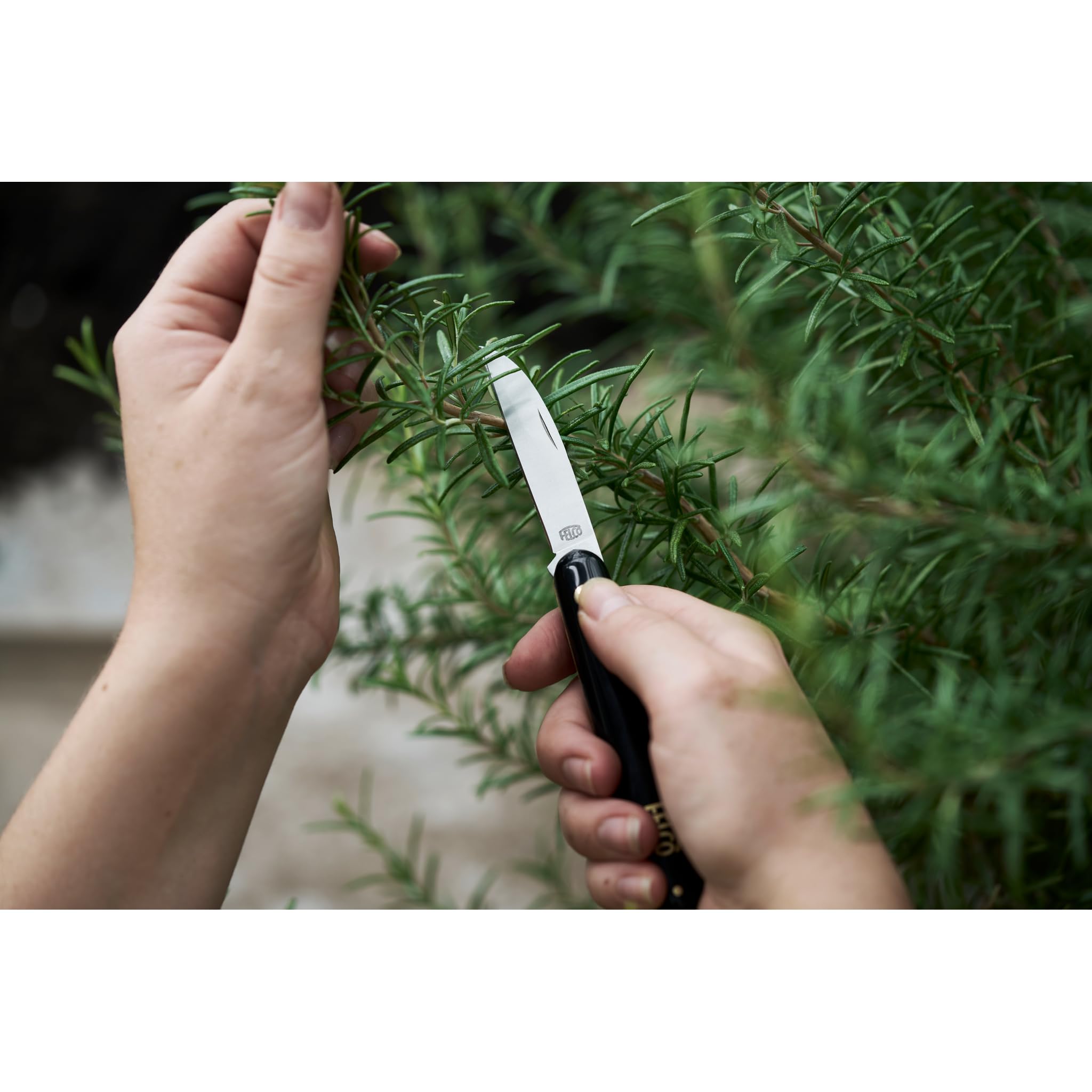 FELCO Couteau de Fleuriste 520 Acier Inoxydable