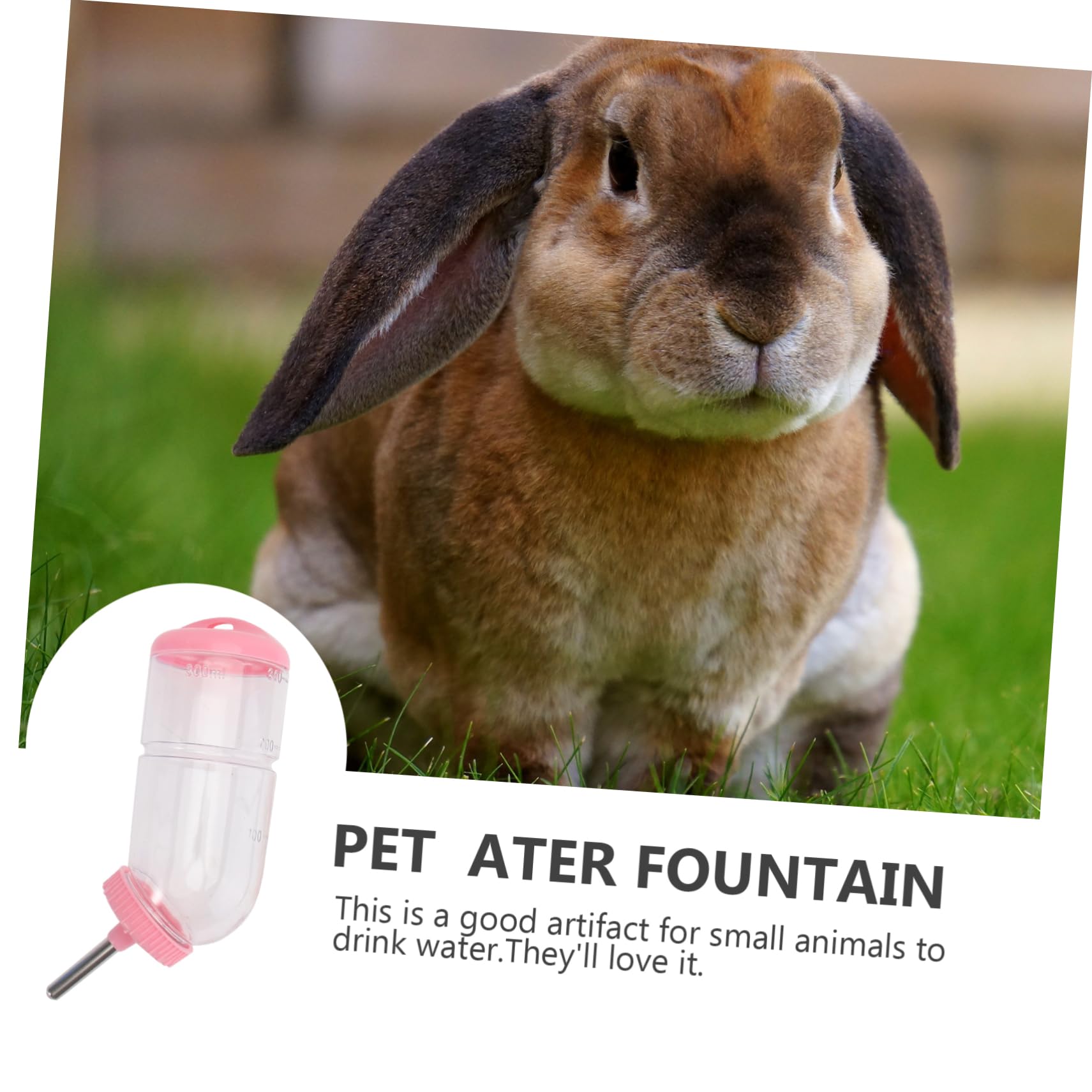 POPETPOP 6pièces Abreuvoir à Eau pour Animaux De Compagnie Pratique Fontaine à Boire pour Lapins Et Cochon Couleurs Aléatoires