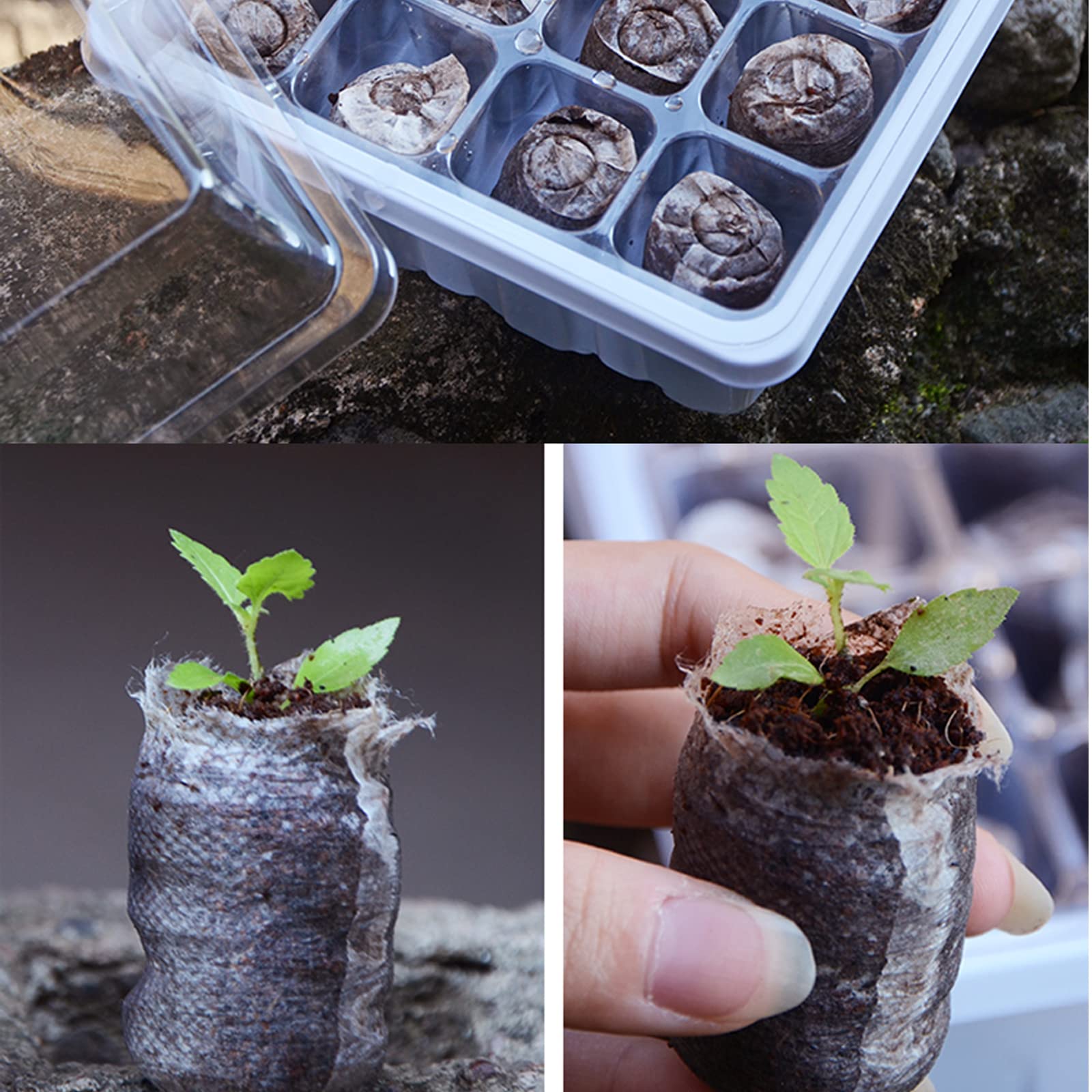 4PCS Vassoio di Germinazione, Vassoi di Avviamento per Piantine,Vassoio Coltivazione Regolabile Scatole di germinazione con Cupola di umidità, Coltivazione in Serra