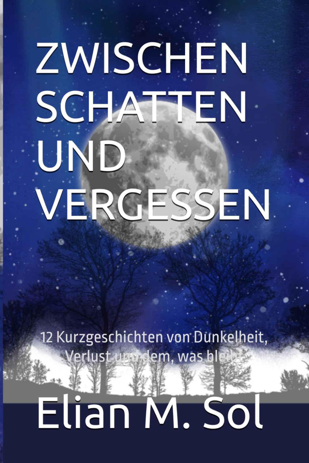 ZWISCHEN SCHATTEN UND VERGESSEN: 12 Kurzgeschichten von Dunkelheit, Verlust und dem, was bleibt