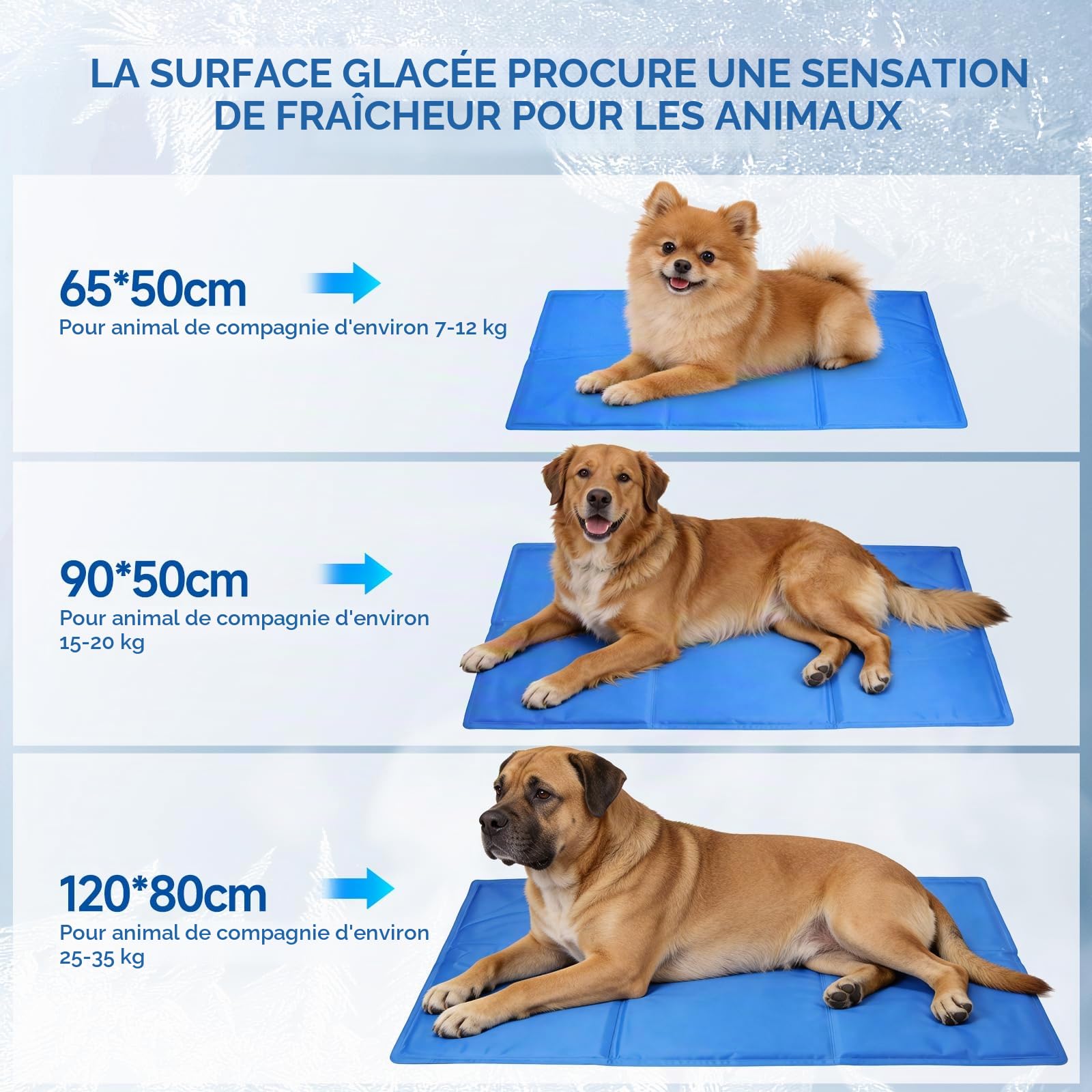 Tapis Rafraichissant Chien Auto Refroidissant avec Gel, Tapis Rafraichissant pour Chien et Chat Étanche avec Bords Renforcés, Tapis Refroidissant Pliable pour Panier Chien Canapé Voiture 65 x 50 cm