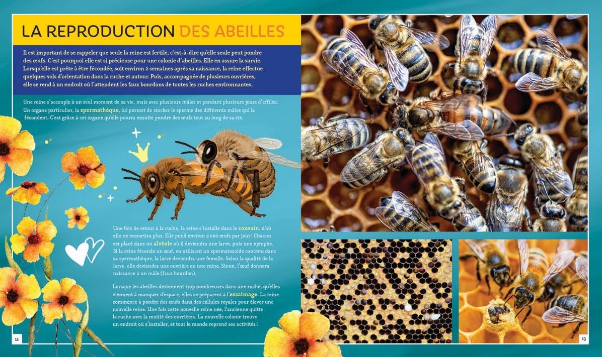 Pas si b�te - L'abeille � miel Bonin, Pierre Alexandre - PT04