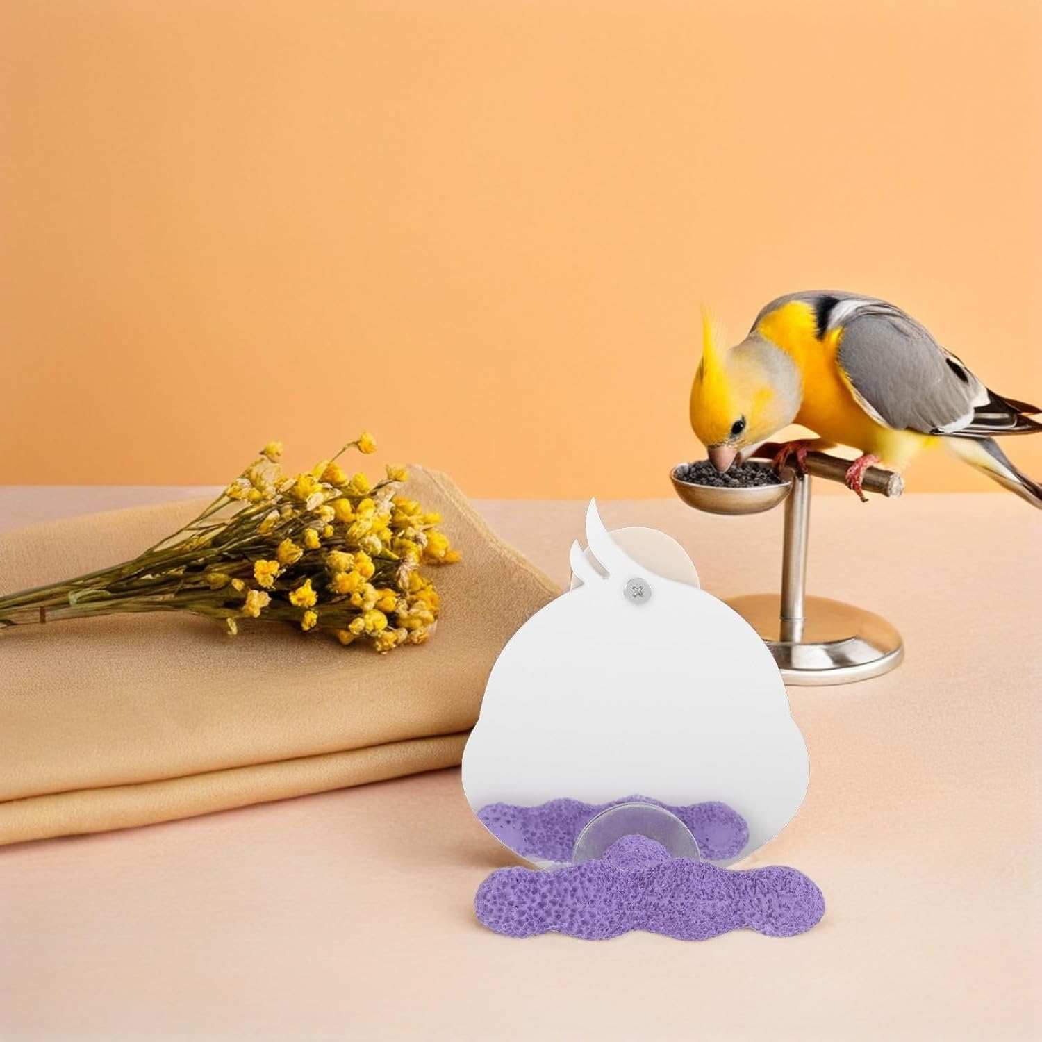 Interactive Parrot Stand with Removable Plastic Perch, Bird Cage Accessory for Parakeets and Conures, for Home Decoration to Solve Boredom and Loneliness