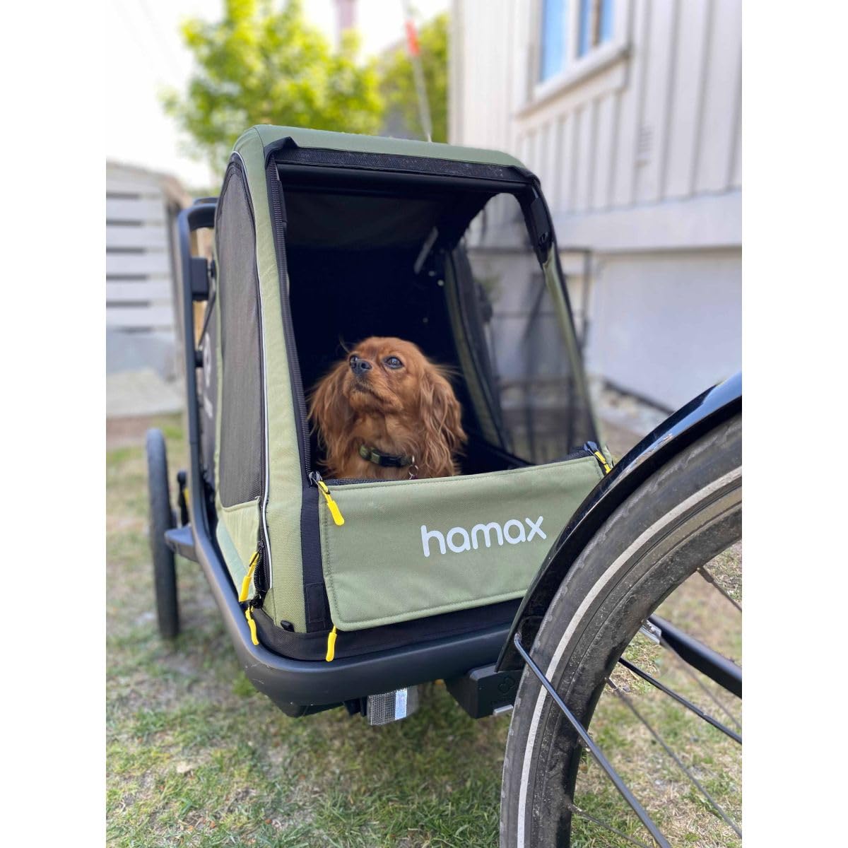 HAMAX Pluto Hundeanhänger - Grün