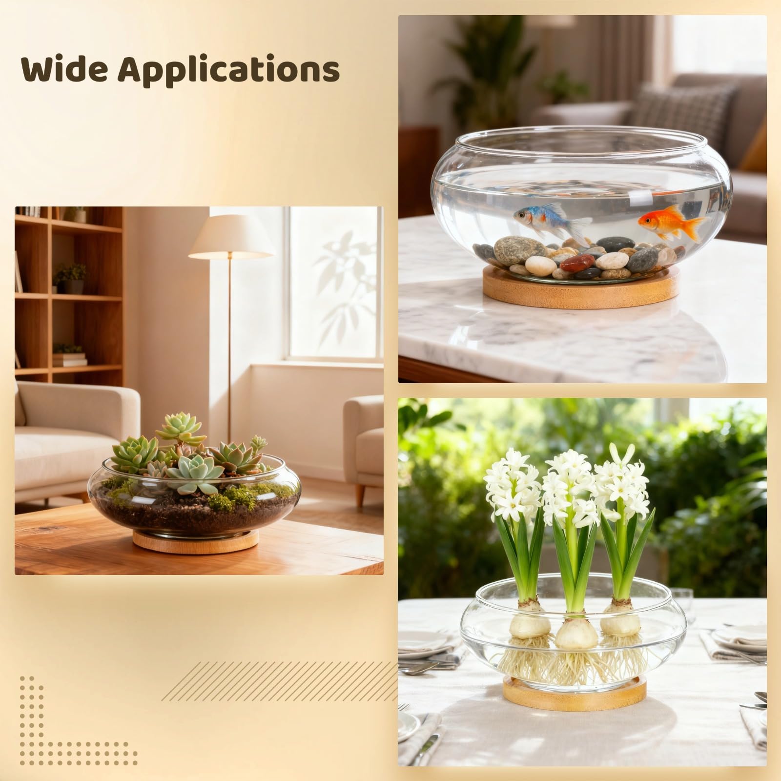 Set di 6 fioriere in vetro, vaso idroponico da 15,2 cm, con vassoi in legno naturale, contenitore trasparente per la coltivazione di piante acquatiche e grasse, terrario decorativo per la