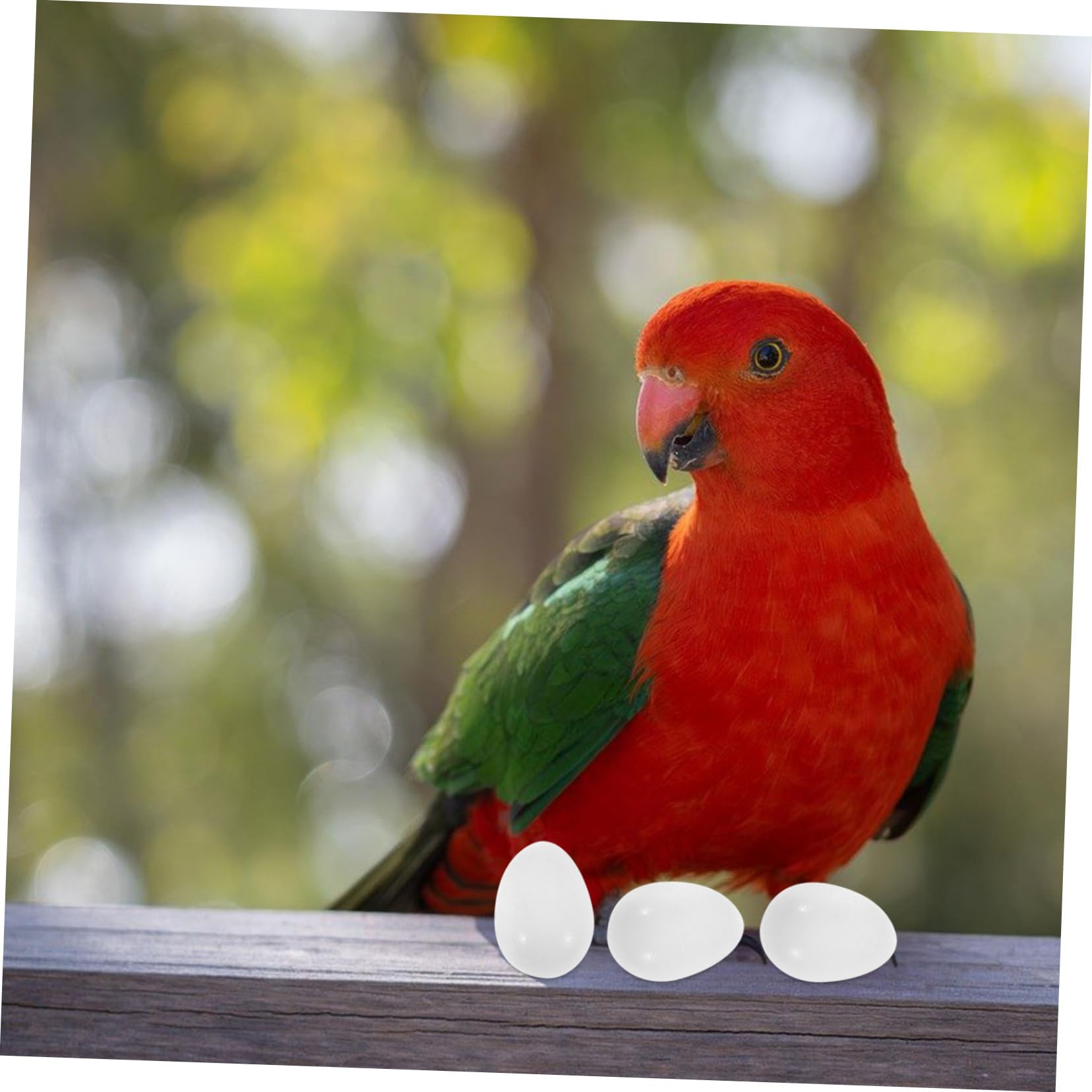 Produktbild von Huwaimi 15 Stück Solide Kunststoff-Eier Für Kleine Vögel, Künstliche Eier Für Papagei, Knopfwachtel, Rudinhuhn, Wachtel, Nymphensittich, Lorikeet Und Ringhals-Taube, Quaker