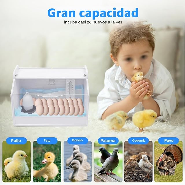 Foto 3 de 8 de InSyoForeverEC Incubadora Pollitos Caja de cría Calor Lámpara Calentador Ajustable para Incubación Hogar Cría…