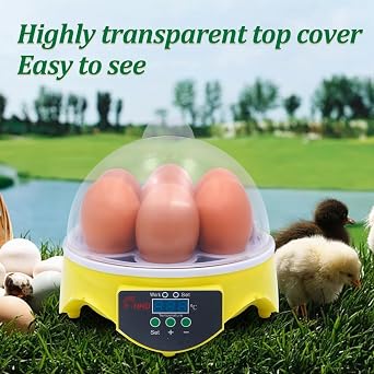 7 Egg Mini Poultry Incubator, Digital Temperature Control Egg Hatcher with UK Plug for Hatching Chicken, Duck, Quail & Bird Eggs