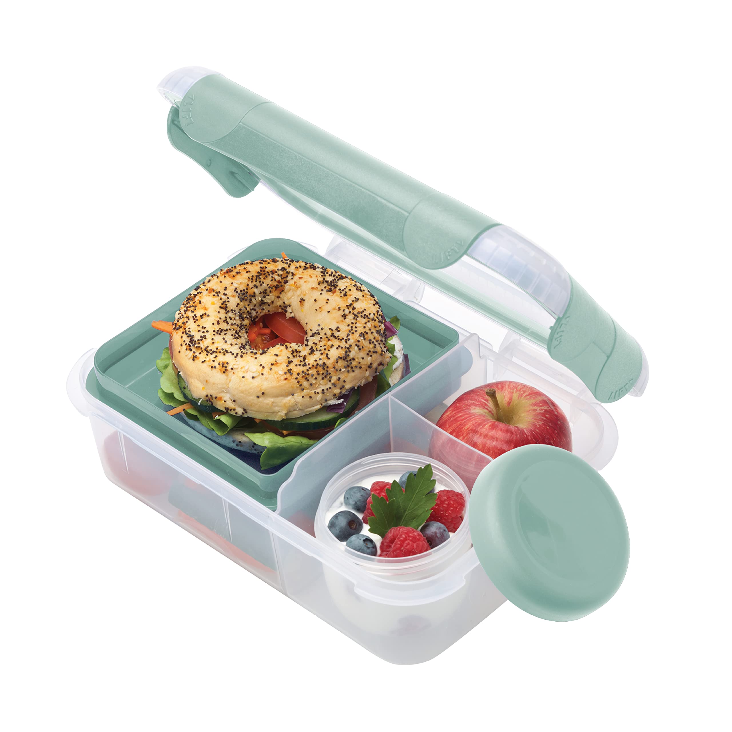 Smash Bento Safe Lunch Box, Fern Green, 1.6 Liter Capacity