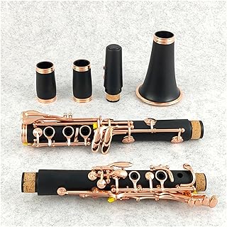 Beginner Bb Clarinet Rose Gold 17 Keys Sib Black Clarinete Musical Instrument Clarinet for Beginner (Color : 02)