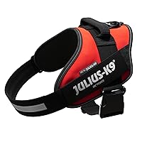 Julius-K9, Pettorina IDC Power