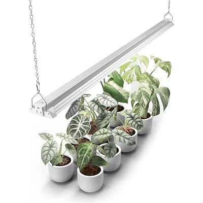 Barrina TX72 4FT Grow Light for Indoor Plants, 72W (500W Equivalent), High PPFD, 5000K Daylight Full Spectrum, Grow Lights for Seed Starting, Vegetable, Greenhouse with On/Off Switch, Linkable, 1 Pack