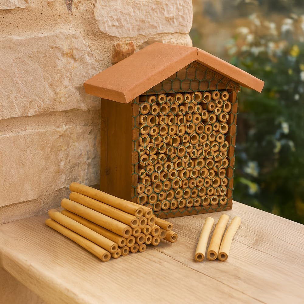 Vie Naturals - Tubos de bambú para Abejas, 15 cm, 100 Unidades