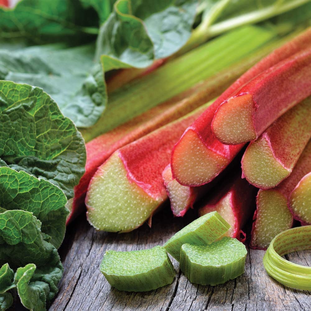 Rhubarb Budded Pieces, Garden Plants, High Yielding Summer Fruit, Easy to Grow, Gardens & Outdoors, 4X Rhubarb Champagne Budded Pieces by Thompson and Morgan (4) — image 1